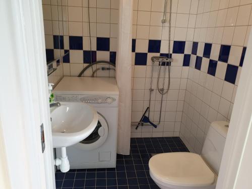 ein Badezimmer mit einem Waschbecken und einer Waschmaschine in der Unterkunft Bergsgatan 64 in Gränna