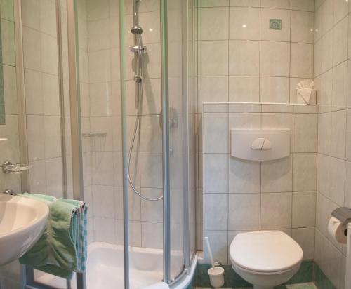 a bathroom with a shower and a toilet and a sink at Haus Lärchenwald in Niederthai