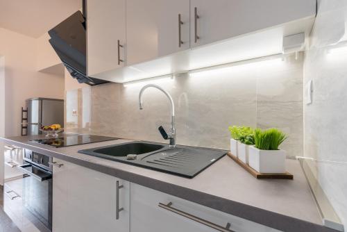 Kuchyň nebo kuchyňský kout v ubytování Apartments Vila DK