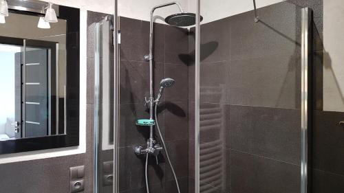 a shower in a bathroom with a glass door at APARTAMENT QUEEN KARWIA in Karwia