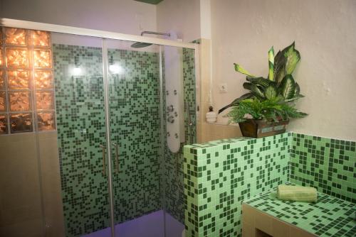 a bathroom with a shower with green tiles and a plant at La Casa del Comandante in Sulzano
