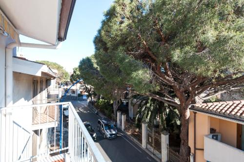 El barrio de los alrededores o un barrio cerca de este apartamento