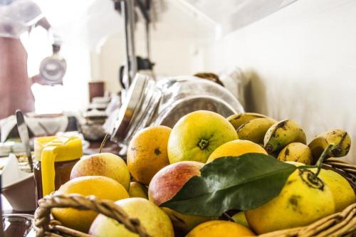 旅舍内部或周边提供的食物