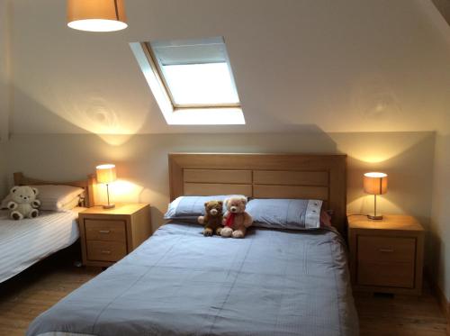 un osito de peluche sentado en una cama en un dormitorio en Mount Leinster View en Bunclody