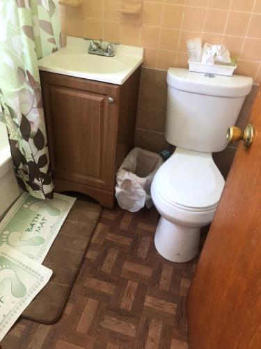 a bathroom with a toilet and a sink at Michael Dee's Motel in East Durham