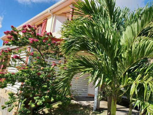 a house with palm trees in front of it at Vert Océan in Le Marin