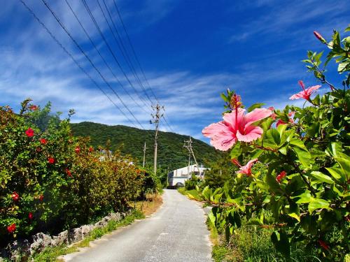 a road with pink flowers on the side of it at Kerama Terrace in Tokashiki