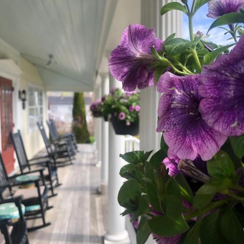 Un jardín fuera de Spouter Inn Bed & Breakfast