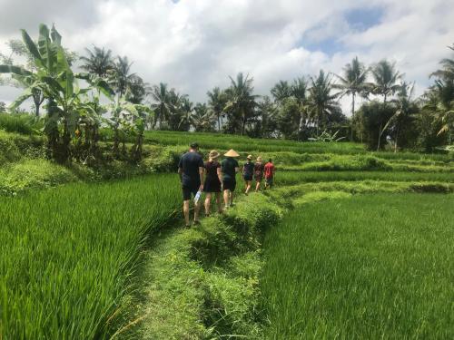 a group of people walking through a field at Arsa Wayan Guest House in Klungkung