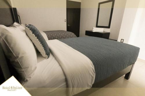 Cama o camas de una habitación en Hotel Y Suites Axolotl