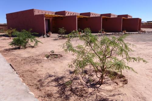 een gebouw in de woestijn met bomen ervoor bij Casa Ckelar Atacama in San Pedro de Atacama