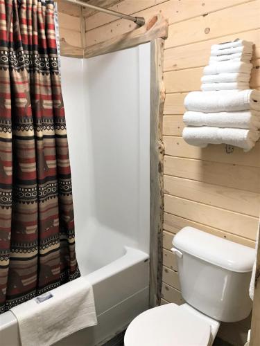 a bathroom with a toilet and a shower curtain at Drift Lodge in Island Park