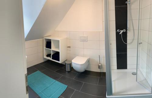 a bathroom with a toilet and a shower at Ferienhaus Moritz in Pommern