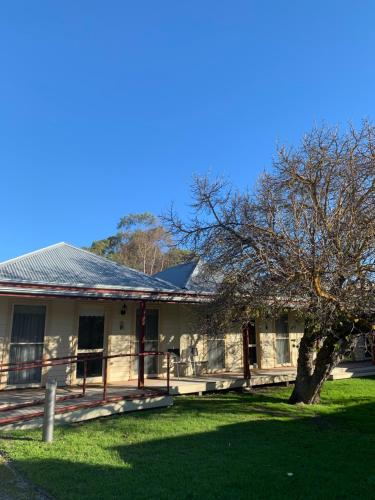 a house with a tree in the yard at Dunkeld Village Accommodation - formally Dunkeld Studio Accommodation in Dunkeld