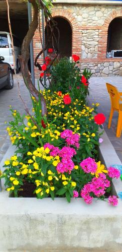 a bunch of flowers in a flower garden at Tsminda Giorgi Apartment in Sighnaghi