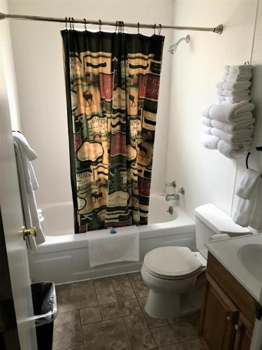 a bathroom with a toilet and a shower curtain at Drift Lodge in Island Park