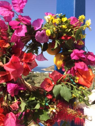 a bunch of flowers hanging from a building at Villa Costa Studios in Vathi, Sifnos