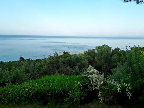 Φωτογραφία από το άλμπουμ του Athanasios Tsoumas Apartments στην Καστροσυκιά