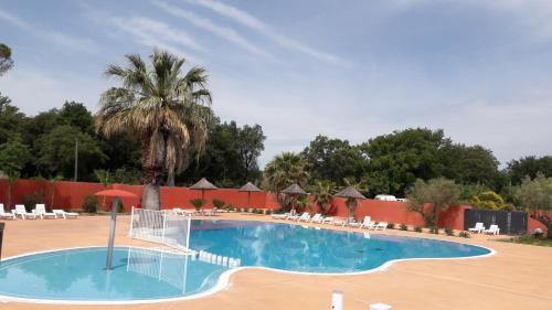 a large swimming pool with chairs and a palm tree at Mobil home récent clim 3ch Camping3* piscine in Argelès-sur-Mer