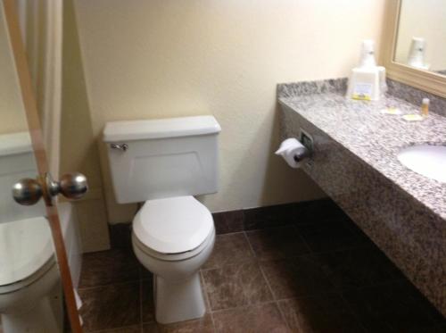 a bathroom with a white toilet and a sink at Days Inn by Wyndham Fayetteville-South/I-95 Exit 49 in Fayetteville