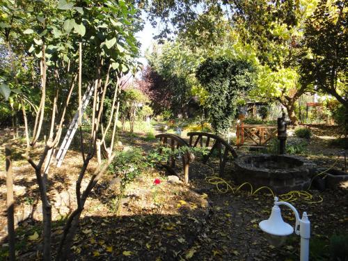 Taman di luar Oase in Mitten der Stadt