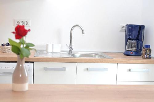 a kitchen with a sink and a vase with a rose at Casa Sol Maris in Novigrad Istria
