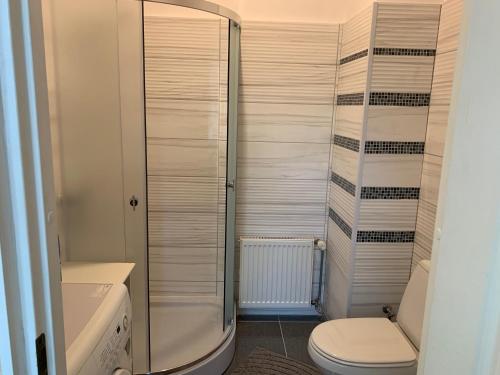 a bathroom with a toilet and a glass shower at Portoss in Ventspils