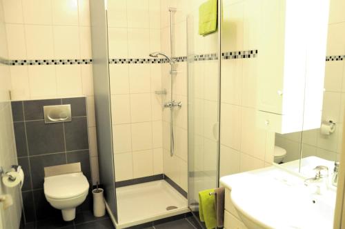 a bathroom with a shower and a toilet and a sink at Café-Pension Kristall in Harbach