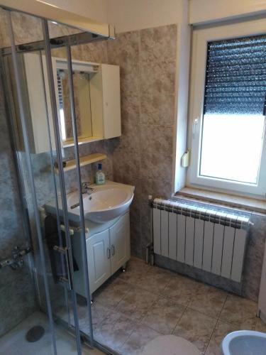a bathroom with a sink and a glass shower at Jasna rooms in Ilirska Bistrica