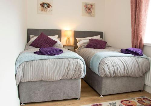 two beds in a bedroom with purple pillows on them at Bramble Cottage in Rathfriland