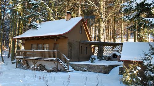 a cabin in the woods with snow on the ground at Hotel Jirinka in Dolní Morava