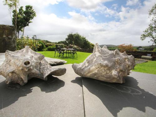 two rocks sitting on top of a table at Big House in Llandecwyn