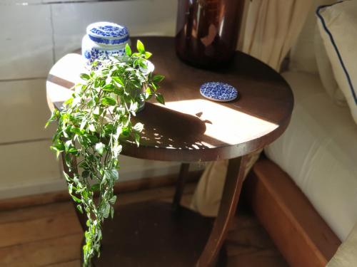 a wooden table with a plant on top of it at Memo's Beach in Nilaveli