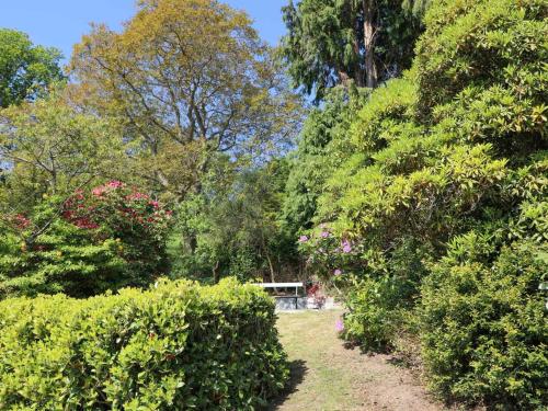 Taman di luar Ty'n y Cae