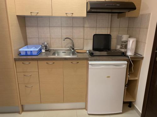 a kitchen counter with a sink and a microwave at Christi Apartments Α&Β in Kokkíni Khánion