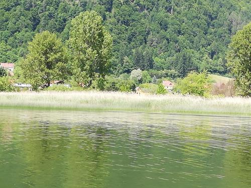 a large body of water with trees in the background at Ferienhaus Am-moore in Steindorf am Ossiacher See