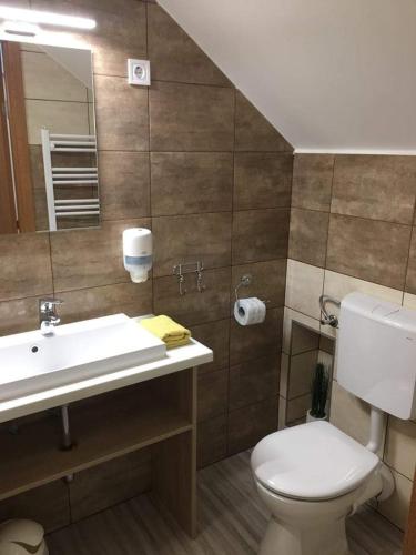 a bathroom with a toilet and a sink and a mirror at Fehér Hajó Panzió és Vendéglő in Győr