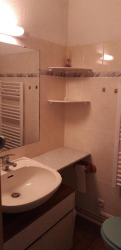 une salle de bain avec un lavabo et un miroir dans l'établissement Résidence les Floralies 2 - Avenue de Camargue, au Grau-du-Roi