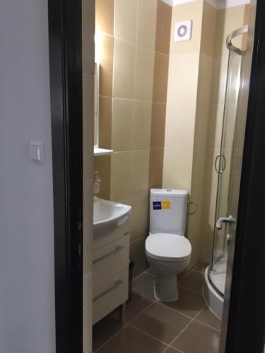a bathroom with a toilet and a sink and a shower at IOANA - camere de inchiriat in Mangalia