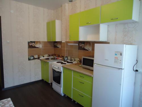 ゴルノ・アルタイスクにあるАпартаменты на Осипенкоのキッチン(緑のキャビネット、白い冷蔵庫付)