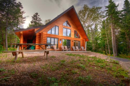 una cabaña de madera en el bosque con un banco en Le Chalet Bois Rond Relax, en Saint-Tite-des-Caps