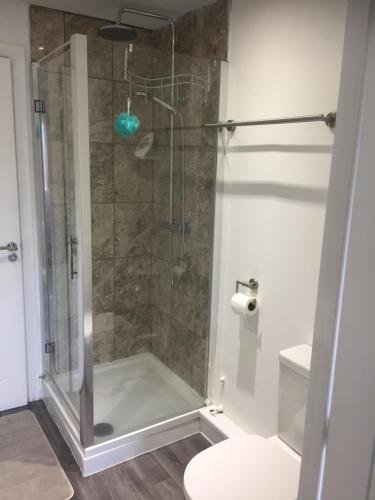 a shower in a bathroom with a toilet and a glass shower stall at Alphalink Lodge in Middlesbrough