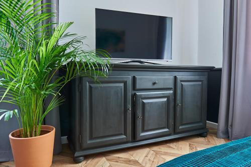 a television on top of a cabinet with two plants at Kafka in Sandomierz