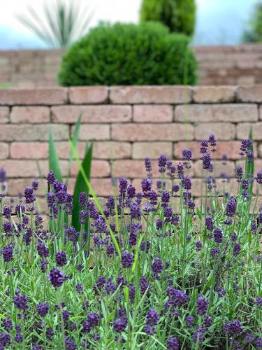 a garden with purple flowers in front of a brick wall at Villa Mona Lisa in Hévíz
