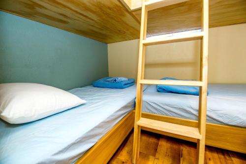- 2 lits superposés dans un dortoir avec une échelle dans l'établissement Blue Palms Resort, à Wildwood
