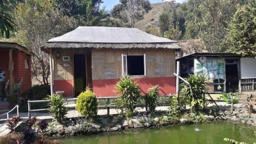 Landskap semula jadi dekat dengan homestay