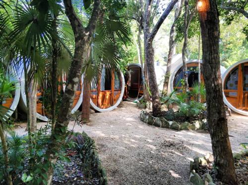 un grupo de tiendas de campaña en un bosque con árboles en Tubo Tulum Hostel, en Tulum