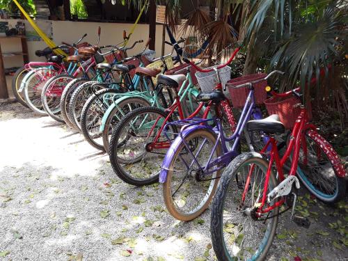 Jazda na bicykli v okolí ubytovania Tubo Tulum Hostel