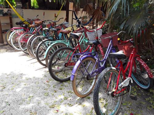 Jízda na kole v ubytování Tubo Tulum Hostel nebo okolí