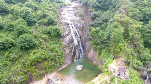 Gallery image of Şelale Konak Çavuş'un Yeri in Rize